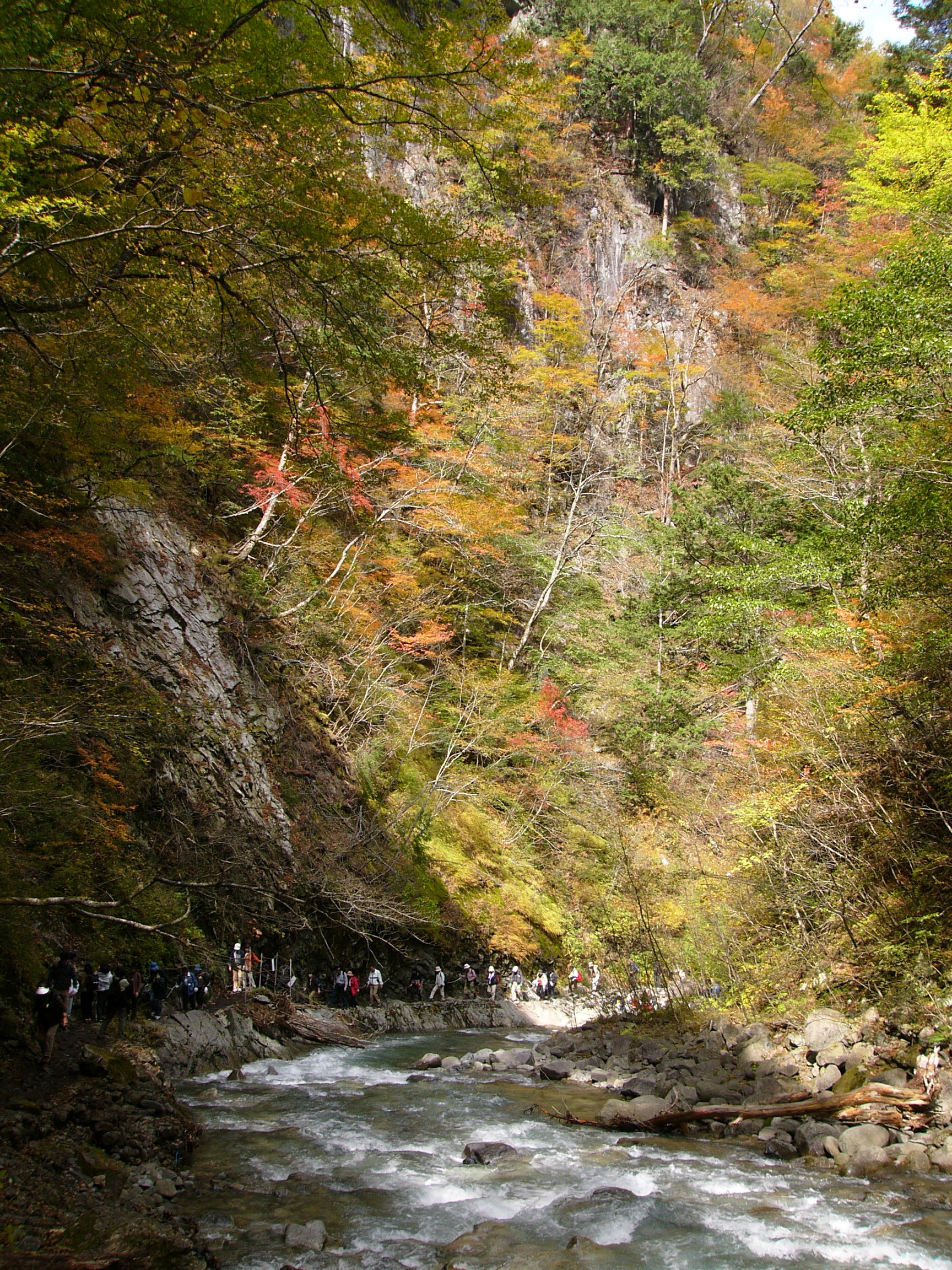 P1130723.JPG