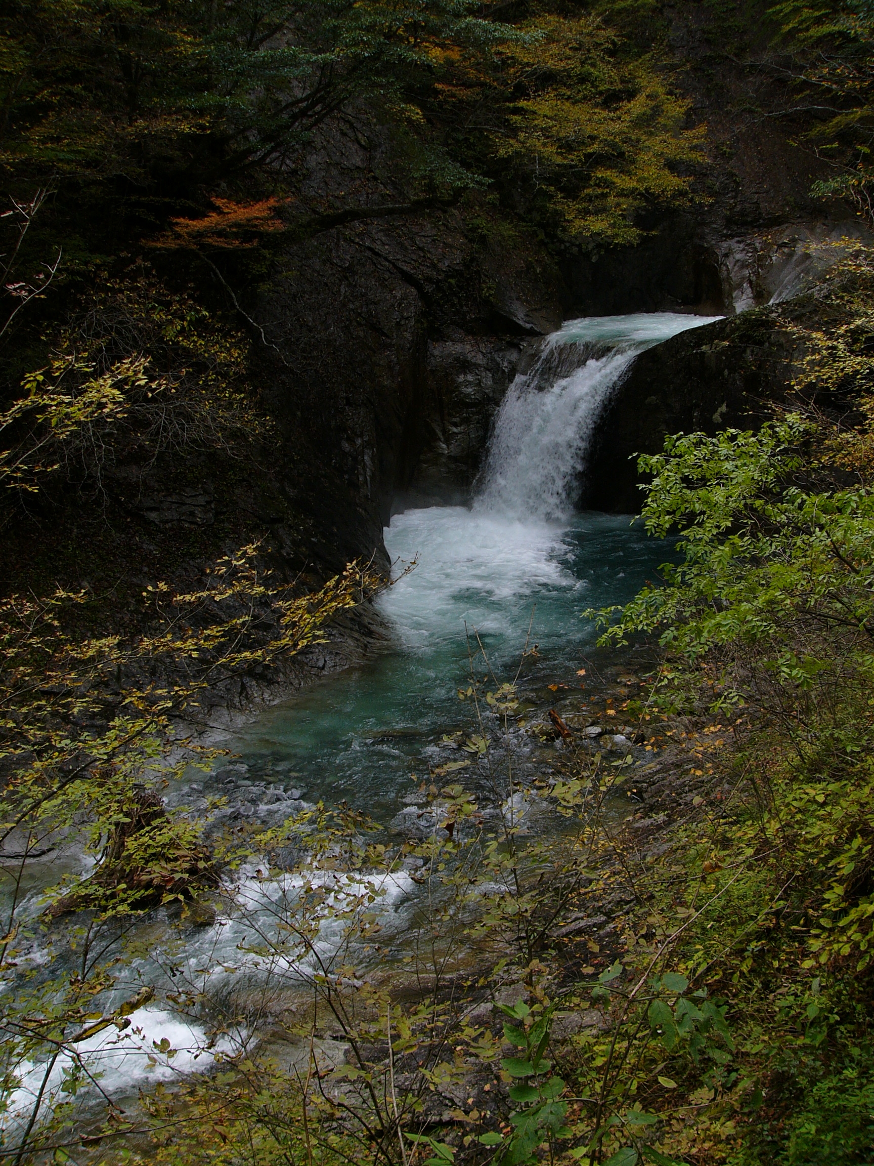 P1130727.JPG