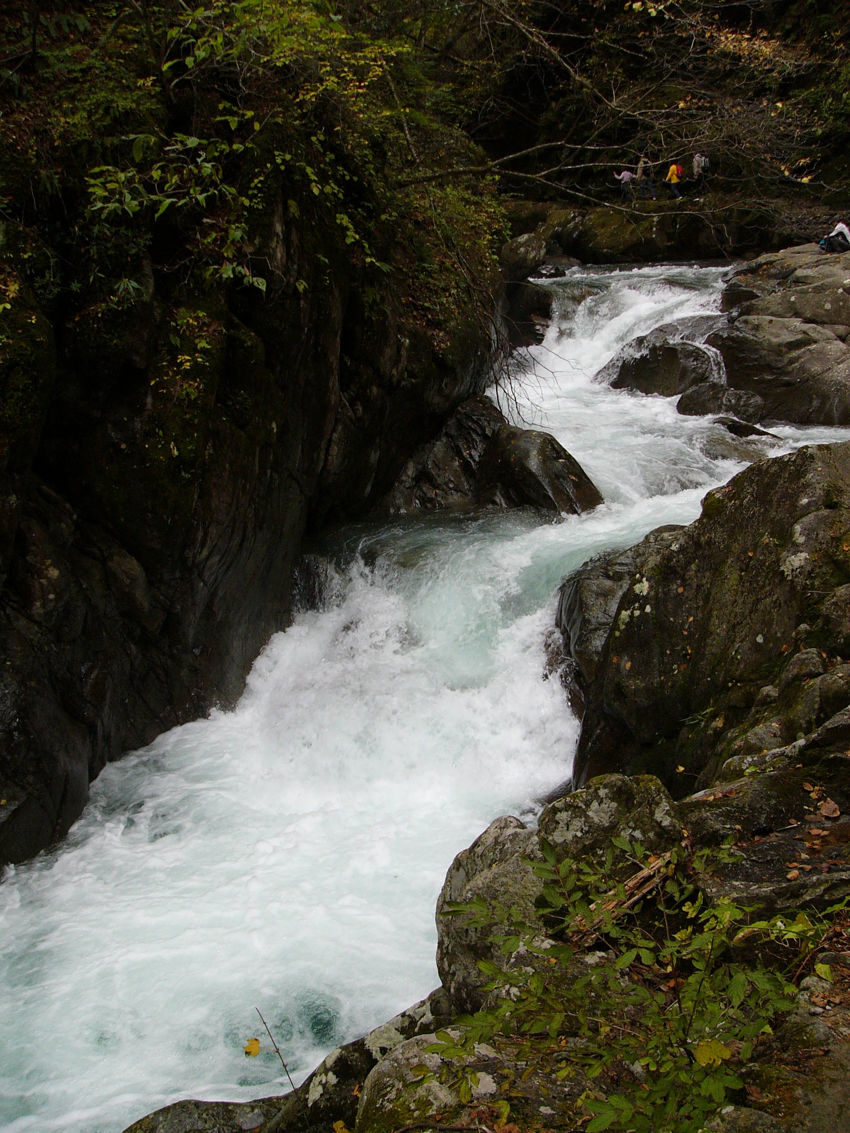 P1130752.JPG