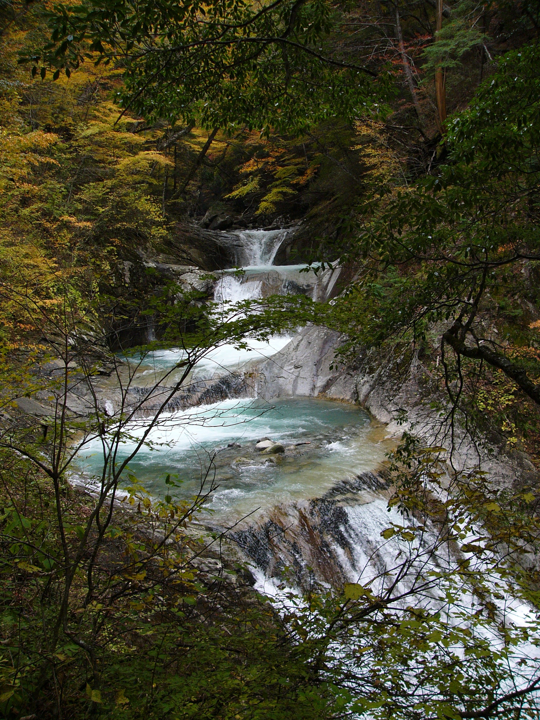 P1130776.JPG